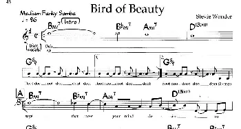 Bird of Beauty_外国歌谱_词曲: