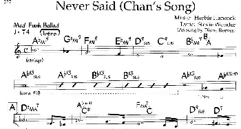 Never Said(Chan's Song)_外国歌谱_词曲: