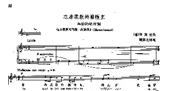 声乐教学曲库2-55在那柔软的帷幔里(意大利)_外国歌谱_词曲: [意]G.普契尼