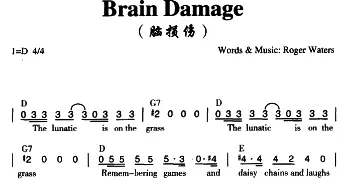 Brain Damage_外国歌谱_词曲: