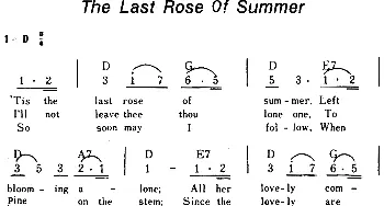 The Last Roes Of Summer(美国)_外国歌谱_词曲: