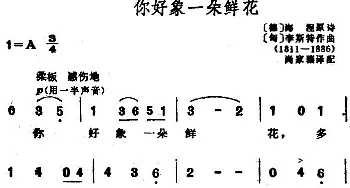 你好像一朵鲜花(匈、德)_外国歌谱_词曲:[德]海涅作词、尚家骧译配 [匈]李斯特