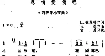 尽情爱我吧 (法国)_外国歌谱_词曲:L.德莱特作词、官愚译配 比捷