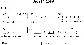 Secret Love(美国)_外国歌谱_词曲: