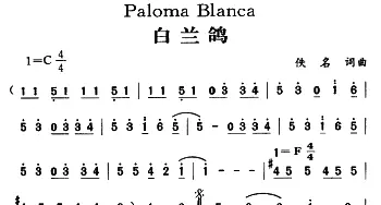 Paloma Blanca_外国歌谱_词曲: