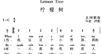 Lemon Tree 柠檬树_外国歌谱_词曲: 牛虻译配