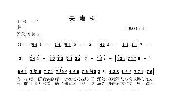 夫妻树_歌谱投稿_词曲:严鹏和 严鹏和