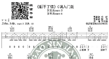 《新不了情》吉他谱吉他弹唱教学C调入门版 高音教_歌谱投稿_词曲: