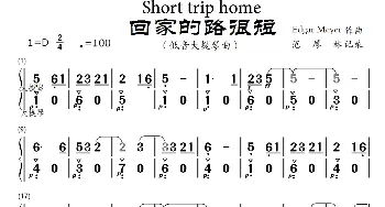 Short trip home_歌谱投稿_词曲: Edgar Meyer