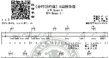 《会呼吸的痛》吉他谱G调精华版 梁静茹 高音教编配 猴哥吉他教学_歌谱投稿_词曲: