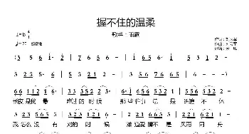 握不住的温柔简谱_歌谱投稿_词曲:刘习军 刘习军