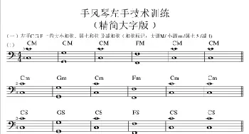 手风琴左手技术训练精简大字版_歌谱投稿_词曲: 葫芦