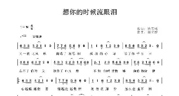 想你的时候流眼泪_歌谱投稿_词曲:徐美琳 秦立新