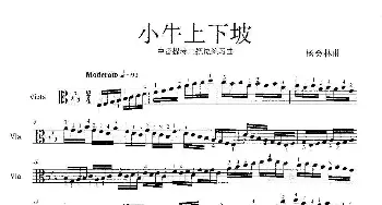 小牛上下坡_歌谱投稿_词曲: 杨会林曲