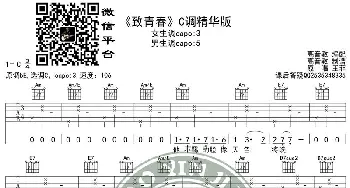 王菲《致青春》吉他谱C调精华版 高音教编配 猴哥吉他教学_歌谱投稿_词曲: