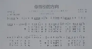 你指引的方向_歌谱投稿_词曲:孙书林 康家祥