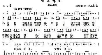 你在哪里_歌谱投稿_词曲:杜思雨 孙卫东