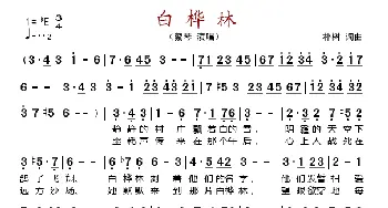 白桦林_歌谱投稿_词曲:朴树 朴树