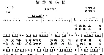 情醉黄鹤楼_歌谱投稿_词曲:焦随东 谭振强