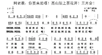 阿老表，啊表妹，你要来尼嘎，茶花开，三月会_歌谱投稿_词曲: