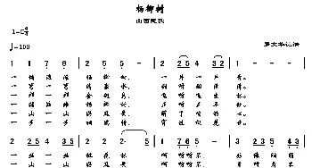 杨柳树_歌谱投稿_词曲: 山西民歌、罗文华记谱