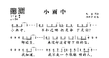 小雨中_歌谱投稿_词曲:赵雷 赵雷