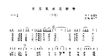 正月里来是新春_歌谱投稿_词曲:张建新 张建新