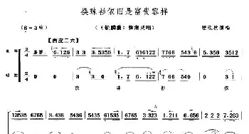 京剧谱 | 换珠衫依旧是富贵模样《锁麟囊》薛湘灵唱段 京胡伴奏谱