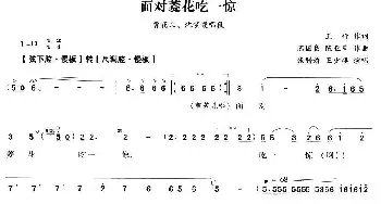 越剧谱 | 面对菱花吃一惊《双玉蝉》曹花儿 沈梦霞唱段