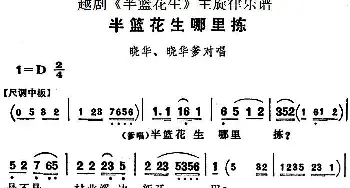 越剧谱 | 越剧《半篮花生》全剧主旋律乐谱 半篮花生哪里拣 P27