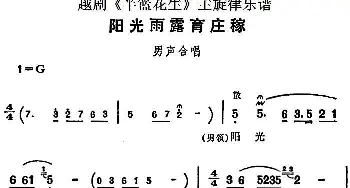 越剧谱 | 越剧《半篮花生》全剧主旋律乐谱 阳光雨露育庄稼 P5