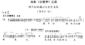 越剧谱 | 想当初妹妹从江南初来到《红楼梦》宝玉唱段