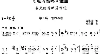 黄梅戏谱 |《电闪雷鸣》选曲 春天的竹笋最茁壮 第五场 雷凯忠唱段  陆洪非 时白林