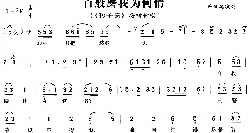 黄梅戏谱 | 百般磨我为何情《砂子岗》杨四伢唱段 严凤英