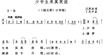 黄梅戏谱 | 少爷生来真英俊《做文章》少爷唱段  川剧本 丁式平