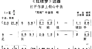 黄梅戏谱 |《红楼梦》选曲 打开你眉上锁心中忧《焚稿》中紫鹃唱段  徐进编词 方绍墀编曲