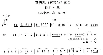 黄梅戏谱 | 帽插宫花《女驸马》冯素贞 春红唱段