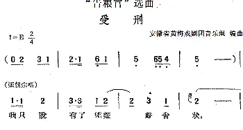 黄梅戏谱 |《告粮官》选曲 受刑 张朝宗唱段   安徽省黄梅戏剧团音乐组编曲