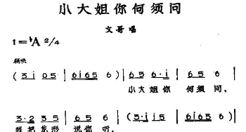 黄梅戏谱 | 大小姐你何须问 黄梅戏神话艺术片《龙女》文哥唱段  丁式平 等 方绍墀