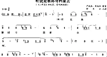 黄梅戏谱 |《小辞店》选段 听说是蔡郎哥回家去 柳凤英 蔡鸣凤唱段 严凤英 查瑞和  时白林记谱