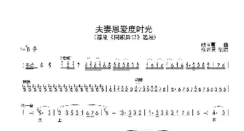 豫剧谱 | 夫妻恩爱度时光 豫剧《同根异果》选段 刘晓燕  耿玉卿