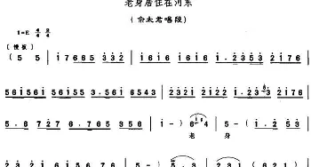 豫剧谱 | 老身居住在河东《穆桂英挂帅》佘太君唱段