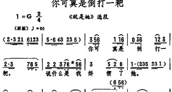 评剧谱 | 你可真是倒打一耙《就是她》选段 筱俊亭