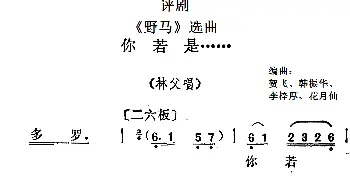 评剧谱 |《野马》选曲 你若是...... 林父唱段   贺飞 韩振华 李梓厚 花月仙编曲