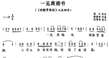 评剧谱 | 一见离婚书《吹鼓手告状》大表姐唱段 赵丽蓉 胡沙 韩振华