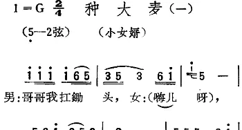 扬剧曲调 种大麦 一 小女婿