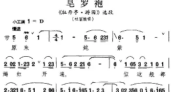 昆曲 皂罗袍《牡丹亭·游园》选段 杜丽娘唱段