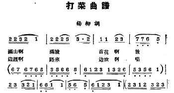 ​阳戏 打菜 选曲