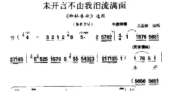 秦腔 未开言不由我泪流满面《柳林告状》杨素贞唱段 苏蕊娥