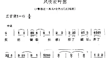 昆曲 风吹荷叶煞《孽海记·思凡》色空唱腔